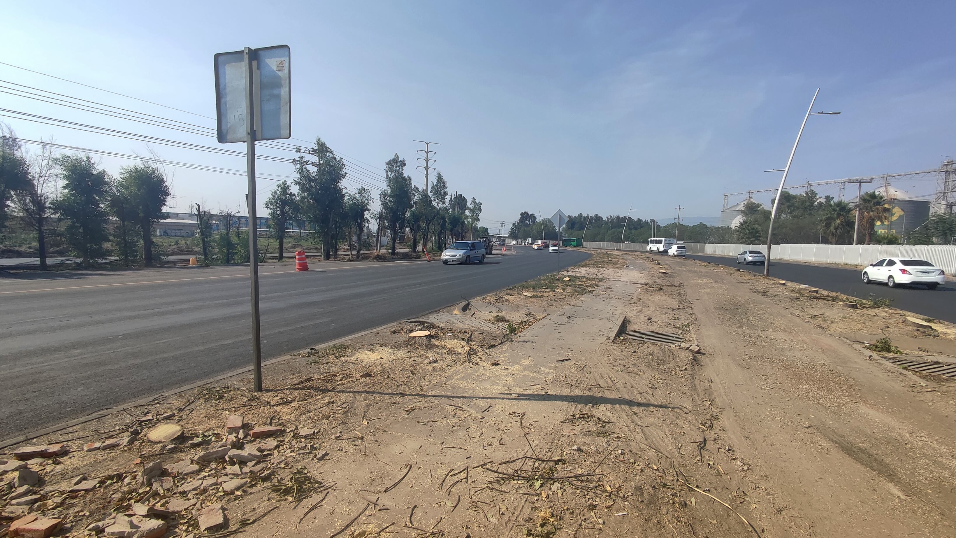 De los más de 80 ejemplares que había en el punto, apenas quedaron 12 de pie, todos ellos árboles de gran formato.