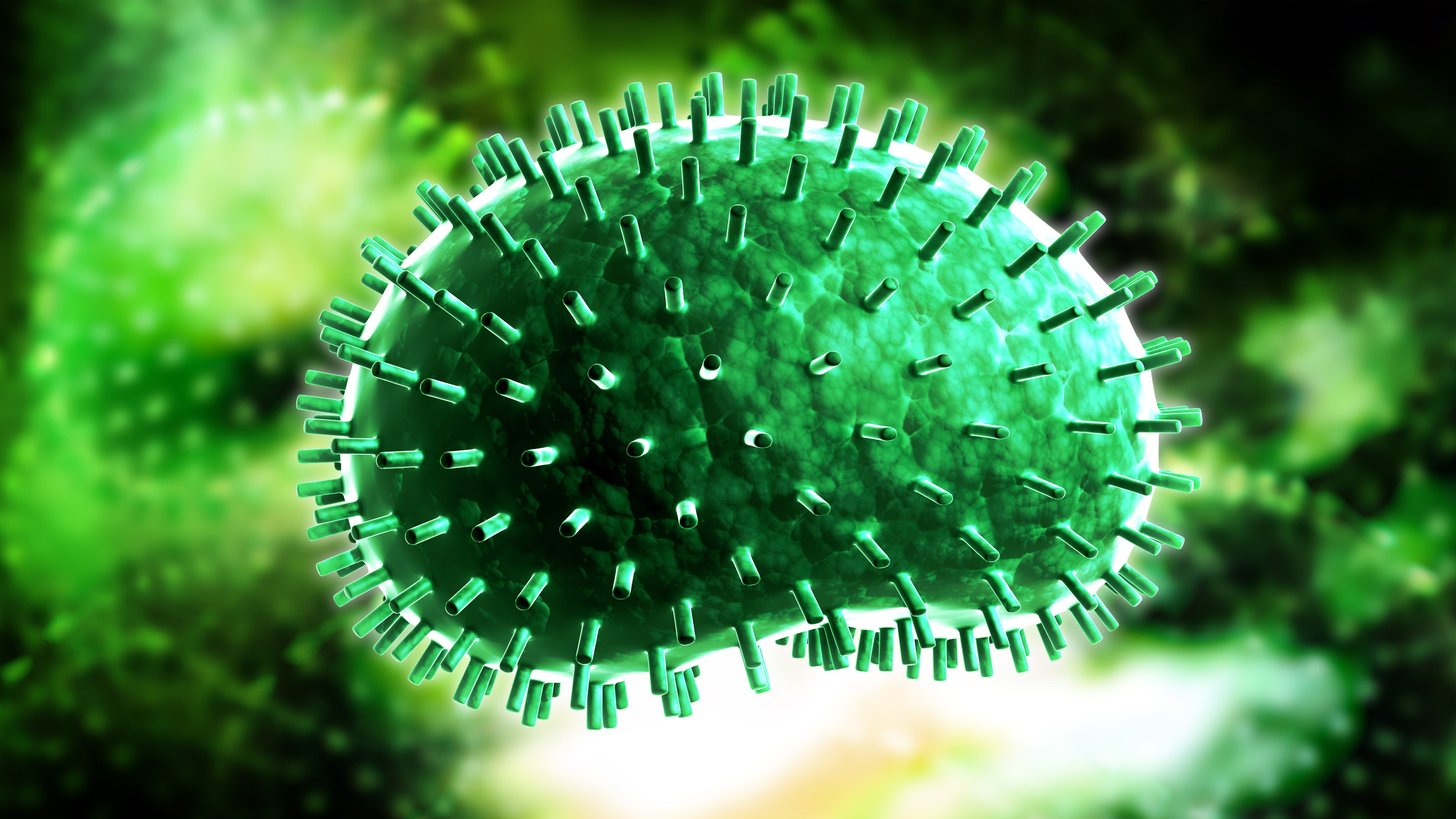 Influenza A: sintomas y casos en México durante 2024