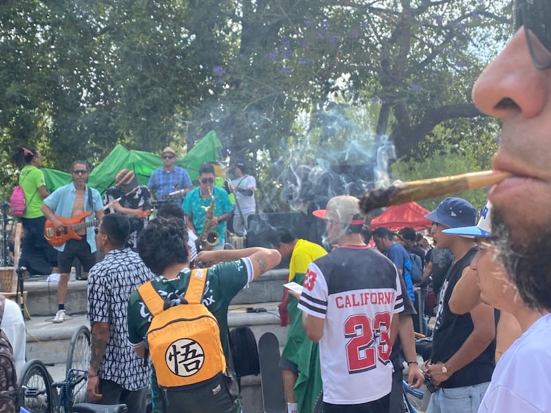 Colectivos pro cannabis buscan una regulación acorde a la realidad del consumo actual.