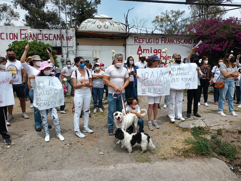 Esta es la segunda ocasión en el mes que el Refugio Franciscano denuncia la sustracción de sus animales