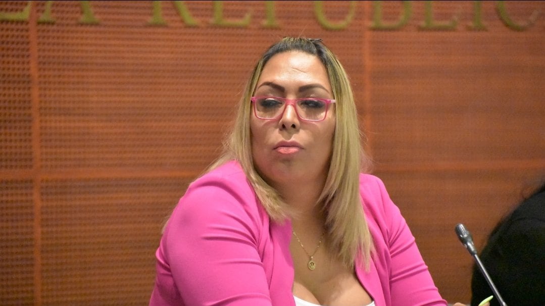 Samantha Fonseca (X / Senado de la República)