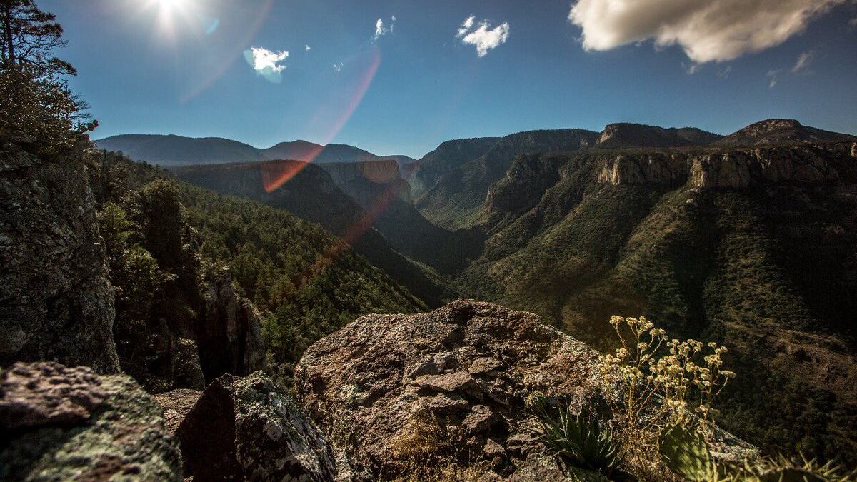 Existen 186 sitios con esta declaración en el país.