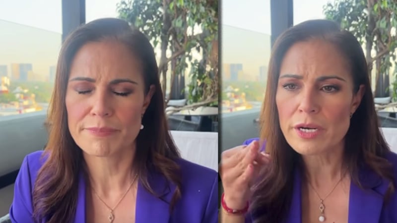 “El PAN se está alejando de la gente”: renuncia Alejandra Gutiérrez tras 20 años de militancia