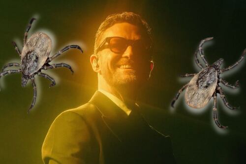 ¿Qué es la enfermedad de Lyme que padece Justin Timberlake? Puede causar daños irreversibles