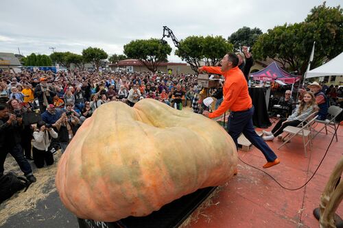 Profesor de horticultura gana concurso con calabaza gigante y bate récord mundial