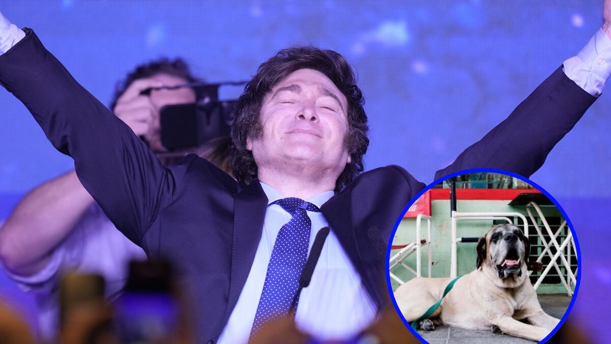 El aspirante a la presidencia se impuso en las primarias argentinas. (AP)