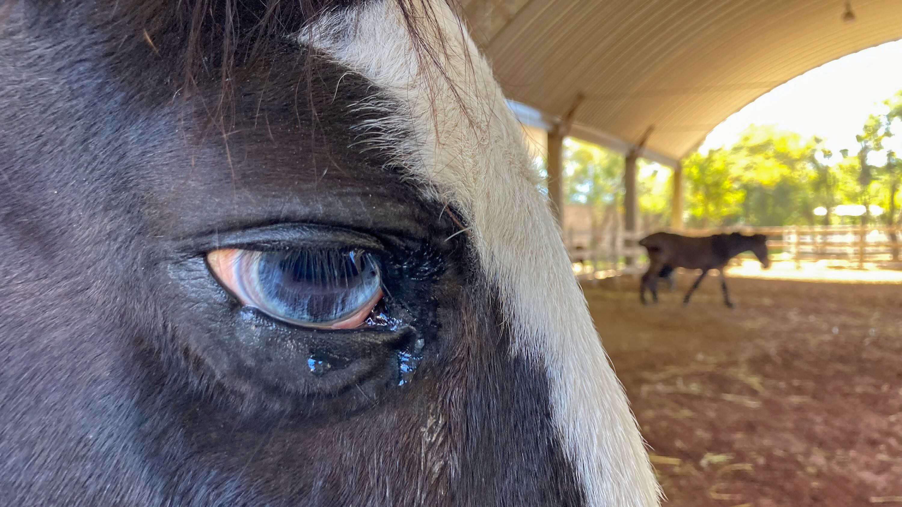 FOTO: Oscar Rodríguez/Agencia Enfoque