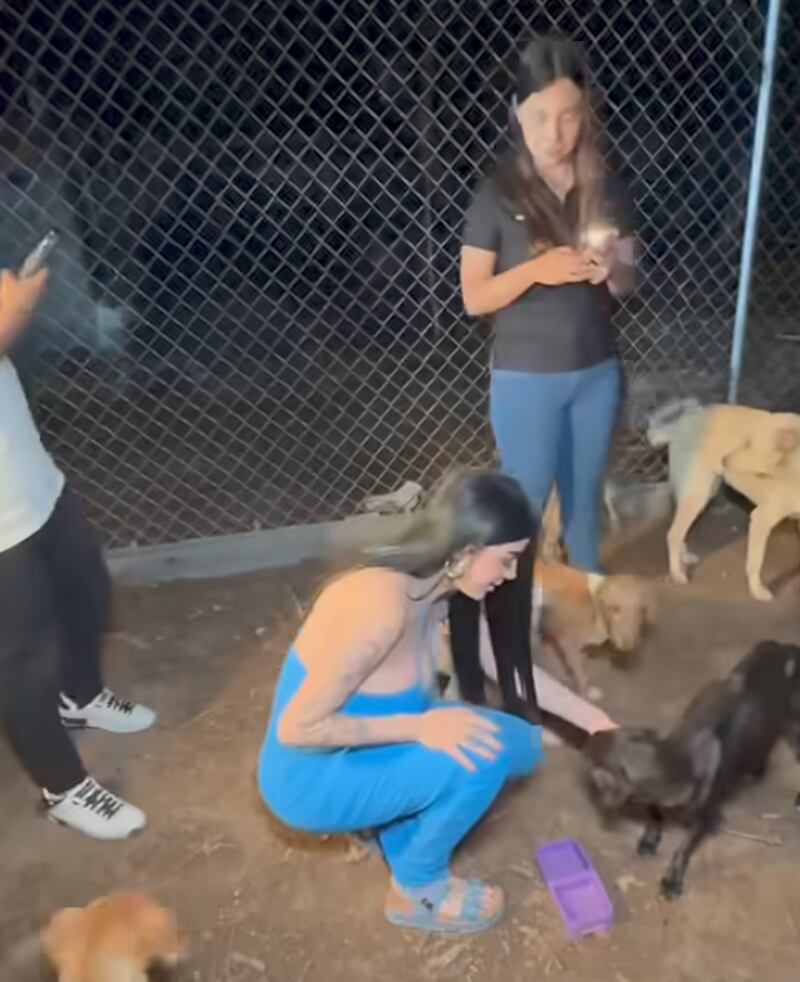 El nuevo refugio tendrá una capacidad para hasta 150 perritos.