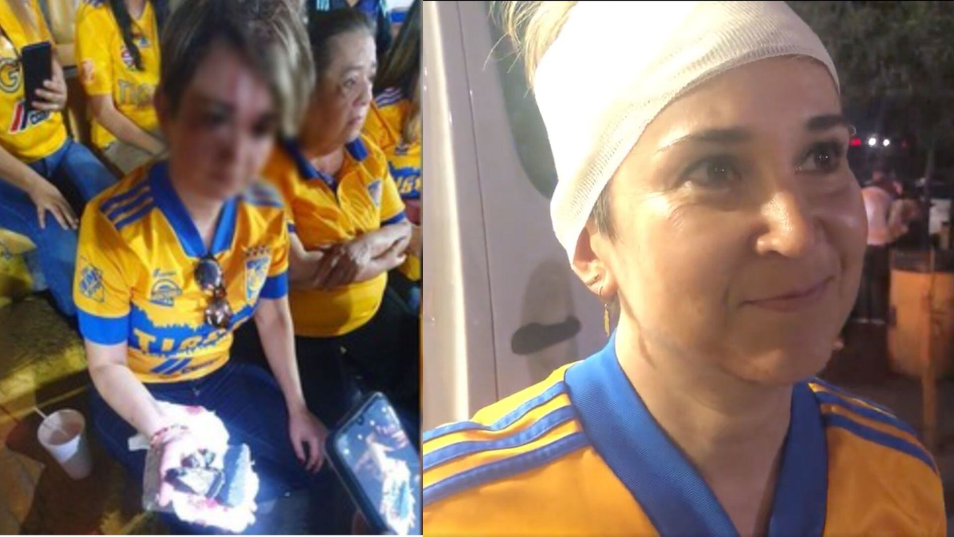 tigres
