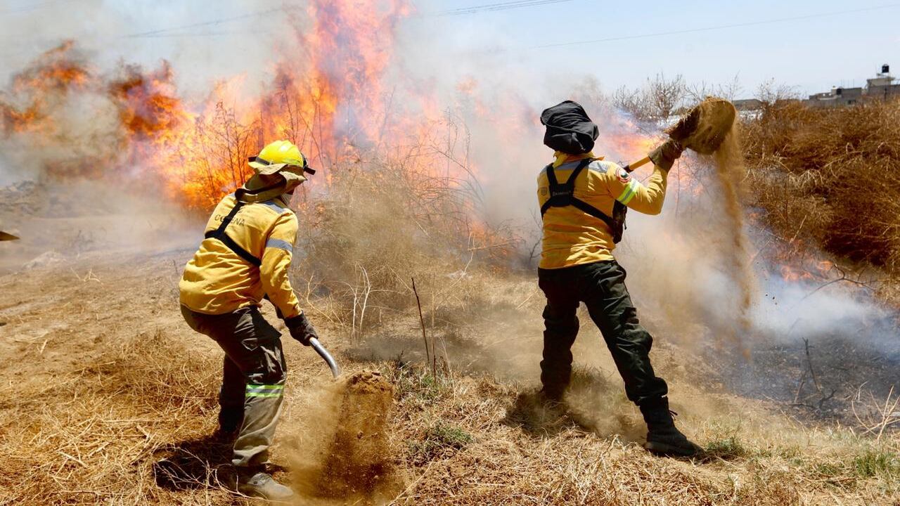 Siete mil brigadistas combaten los incendios en CDMX.