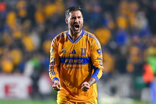 ¿Tigres será campeón del futbol mexicano? La estadística que ilusiona a los felinos