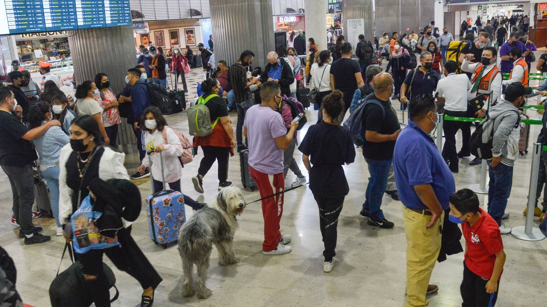 AICM reducirá vuelos a partir de próxima temporada invernal