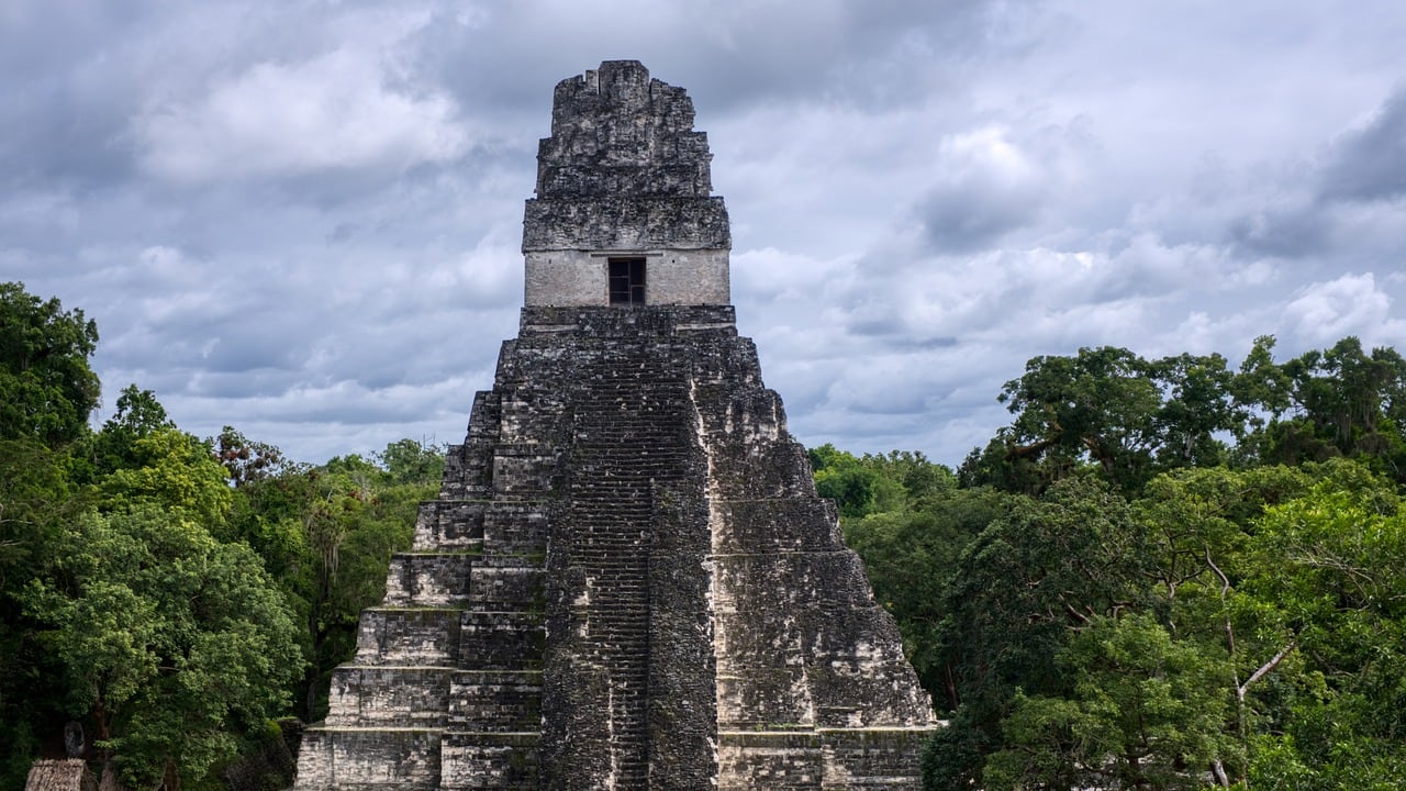 ¡Feliz Año Nuevo Maya! Que la Semilla Resonante le despierte desde adentro