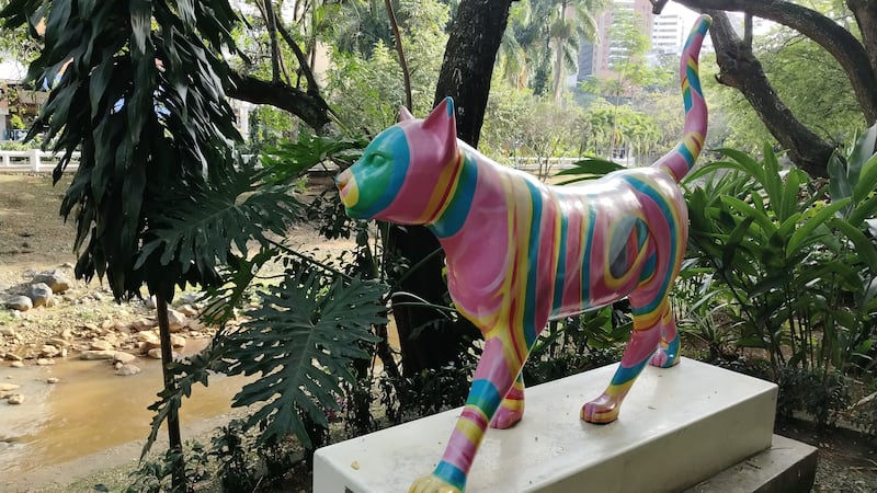 La capital del Valle del Cauca, en Colombia, conquista por la calidez de su gente, la riqueza de su gastronomía y su pasión por la salsa, su sello más auténtico