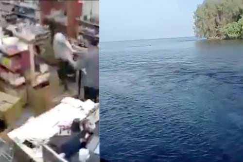 Terremoto de magnitud 7.4 azota Indonesia: videos muestran cómo se vivió el momento