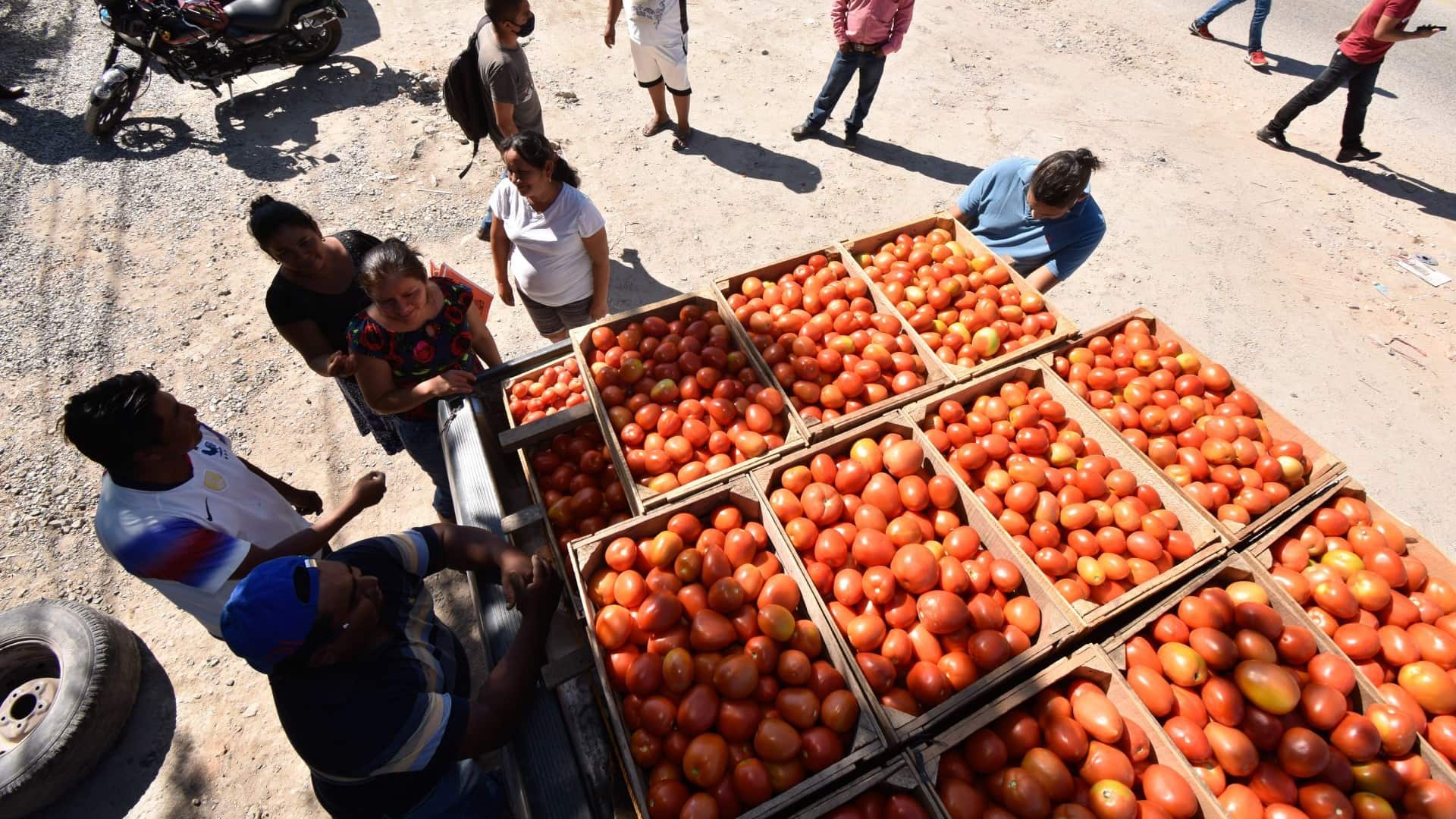 Jitomates mexicanos que se exporten a Estados Unidos tendrán aranceles de 20%