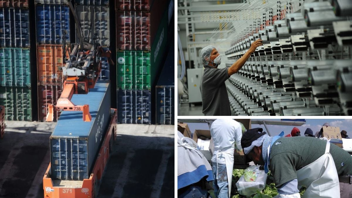 El sector agroalimentario ha tenido un incremento significativo en las exportaciones.