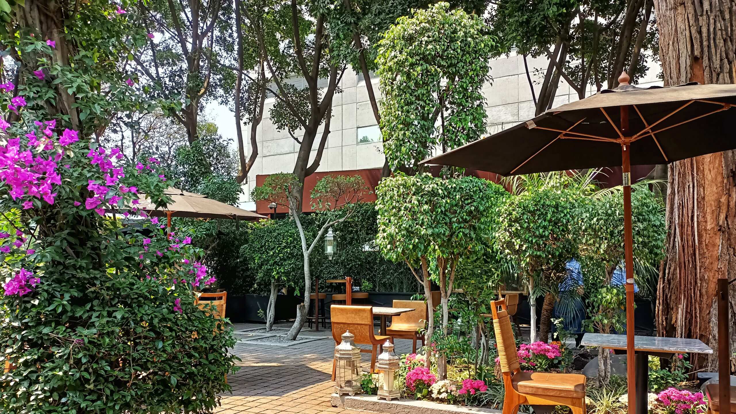 Restaurante Bosque Gourmet