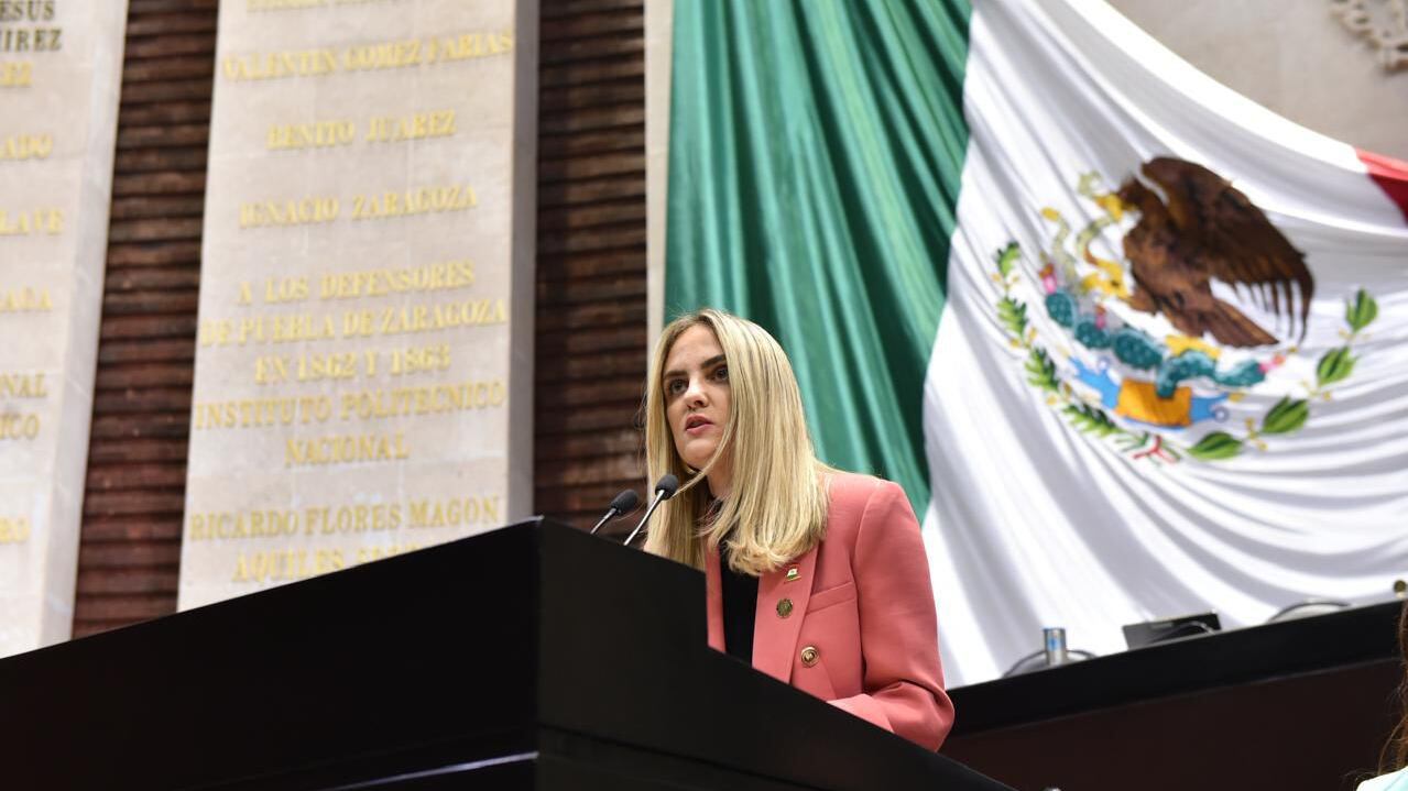 Diputada Tania Palacios Kuri.