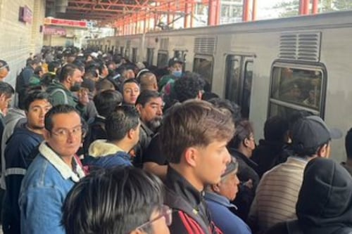 Rescate de perritos y retiro de trenes provocan marcha lenta en varias líneas del Metro CDMX