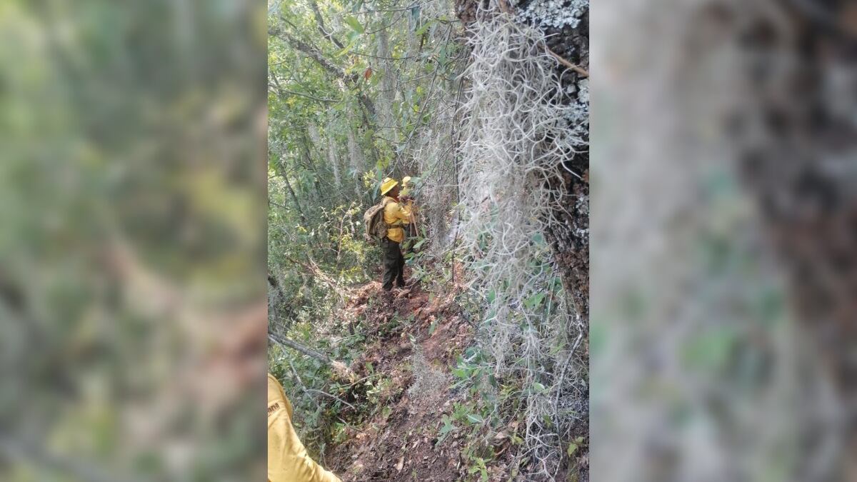 Los elementos de las corporaciones continúan trabajando en la zona.