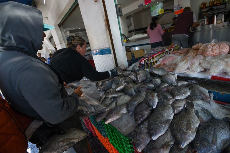 Al arranque de la Semana Santa, las especies como el robalo registran aumentos de 196 pesos; otras muestran recortes de hasta 100 pesos.