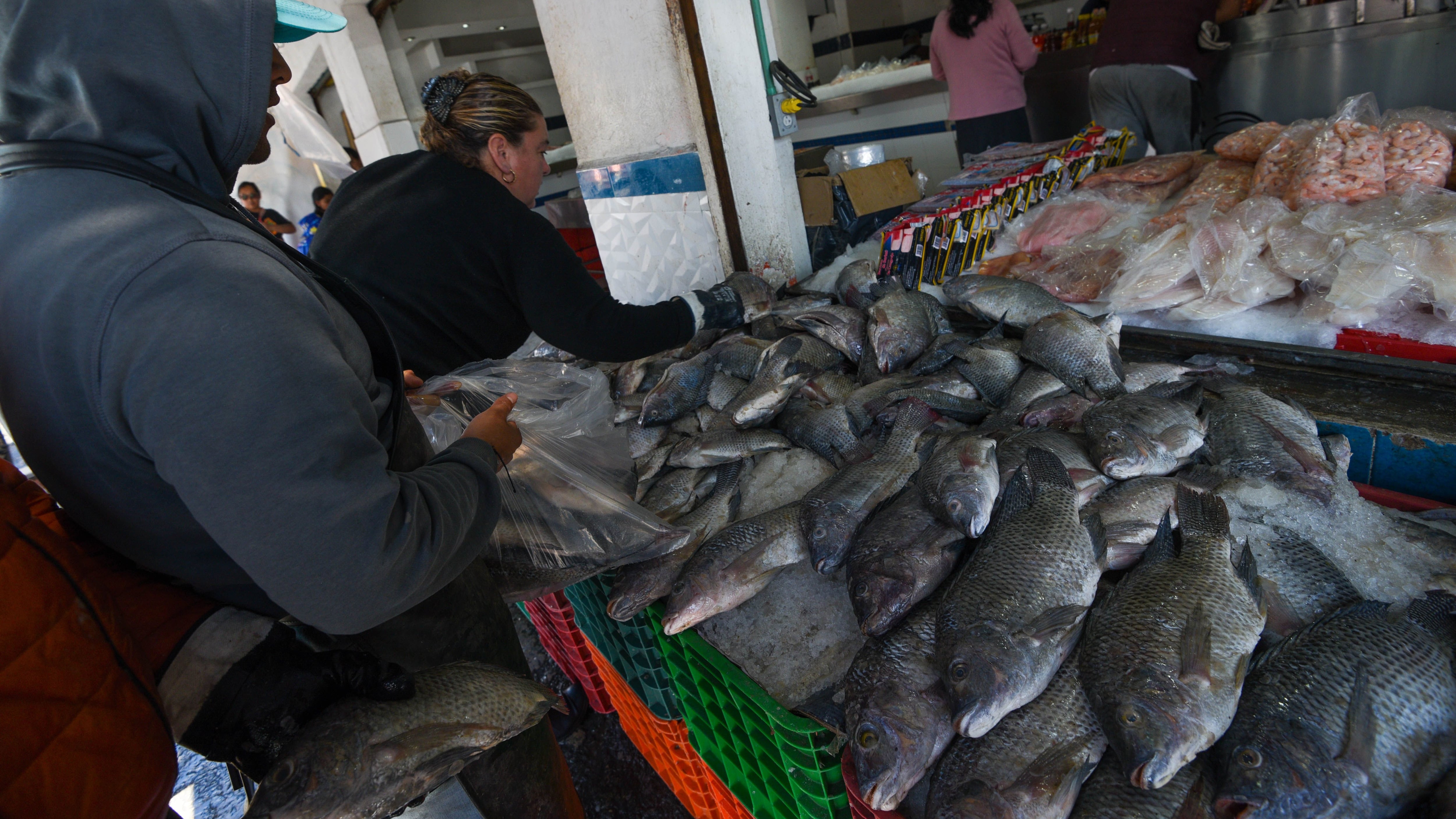 Al arranque de la Semana Santa, las especies como el robalo registran aumentos de 196 pesos; otras muestran recortes de hasta 100 pesos.