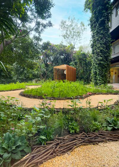 Jardines con semillas.
