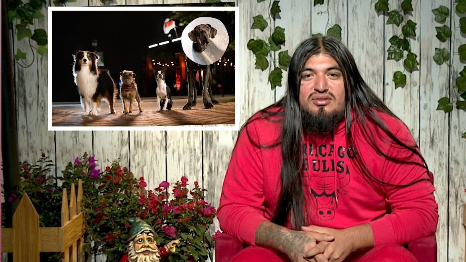 La cinta es una comedia live action que tiene las voces en español de Carlos Ballarta, Ricardo O'Farrill y Michelle Rodríguez.