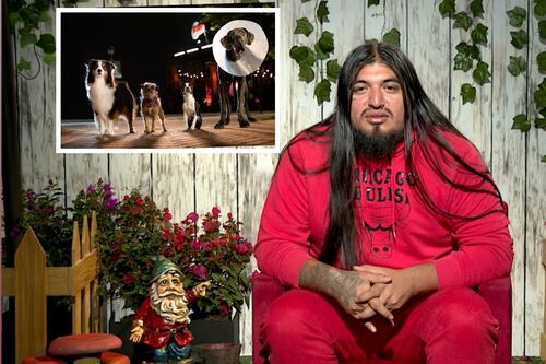 Carlos Ballarta estrena cinta que aborda el maltrato animal con humor