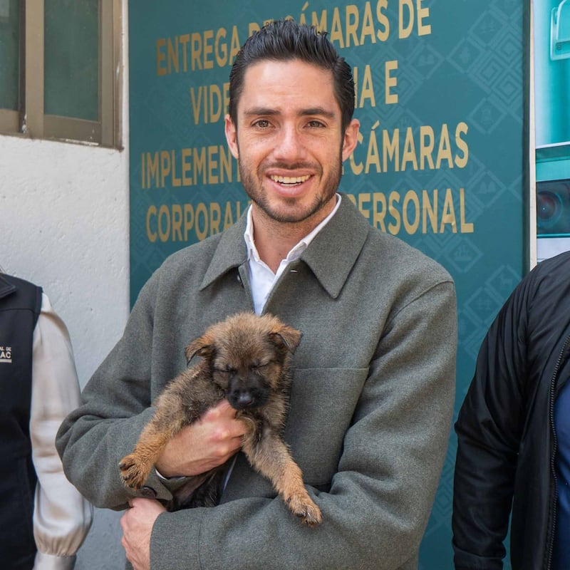 Aprueban penas de hasta 9 años de prisión por maltrato animal