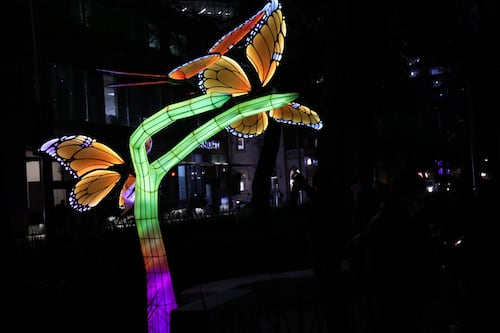 CDMX se llena de luz: así es el festival que transforma Reforma en un espectáculo nocturno imperdible