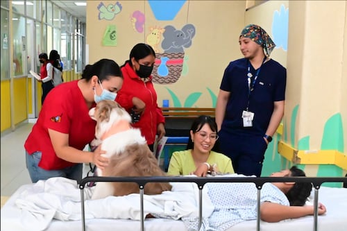 Perros ayudan a niñas y niños del INP a enfrentar tratamientos médicos