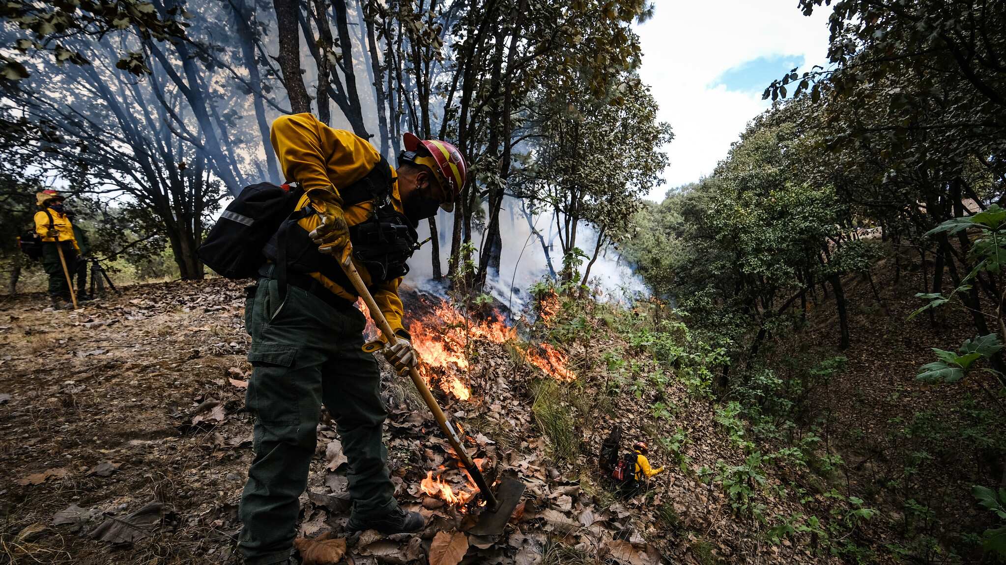 En los trabajos laboran elementos de diferentes corporaciones para tratar de contener el avance de las llamas.