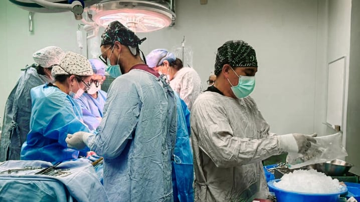 La donación de órganos en Guanajuato mantiene una tendencia al alza: en 2025 se alcanzaron 139 donadores y 420 órganos procurados, reflejo de una cultura de solidaridad que salva vidas.