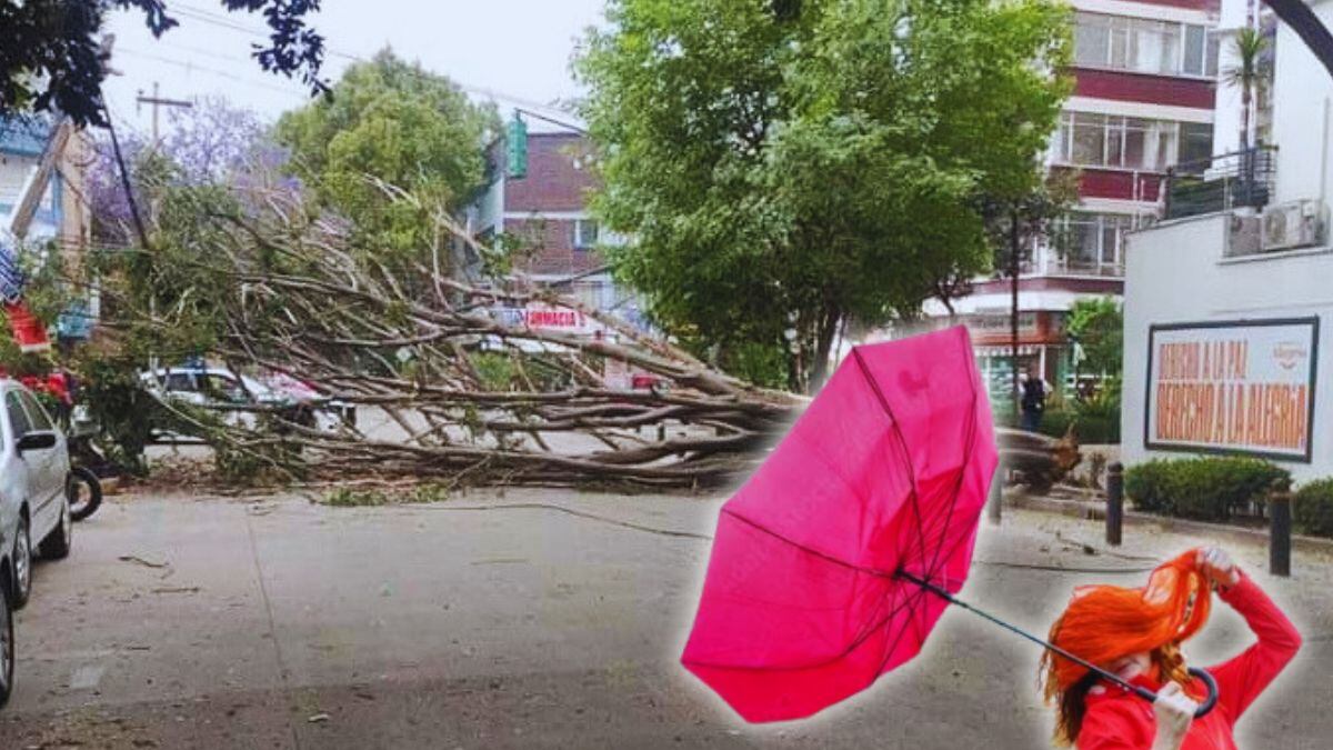 Vientos fuertes azotan a CDMX: activan Alerta Amarilla en las 16 alcaldías