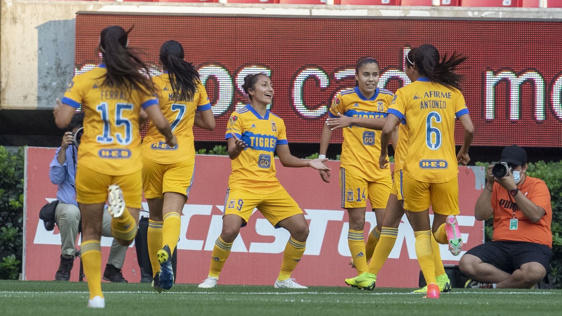 Tigres femenil | MEXSPORT