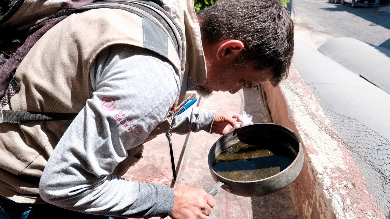 Brigadas de Secretaría de Salud contra el dengue.