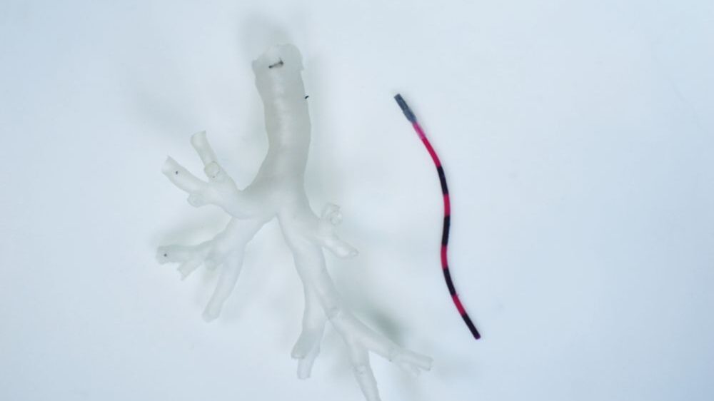 Mini robot se adentra en los pulmones