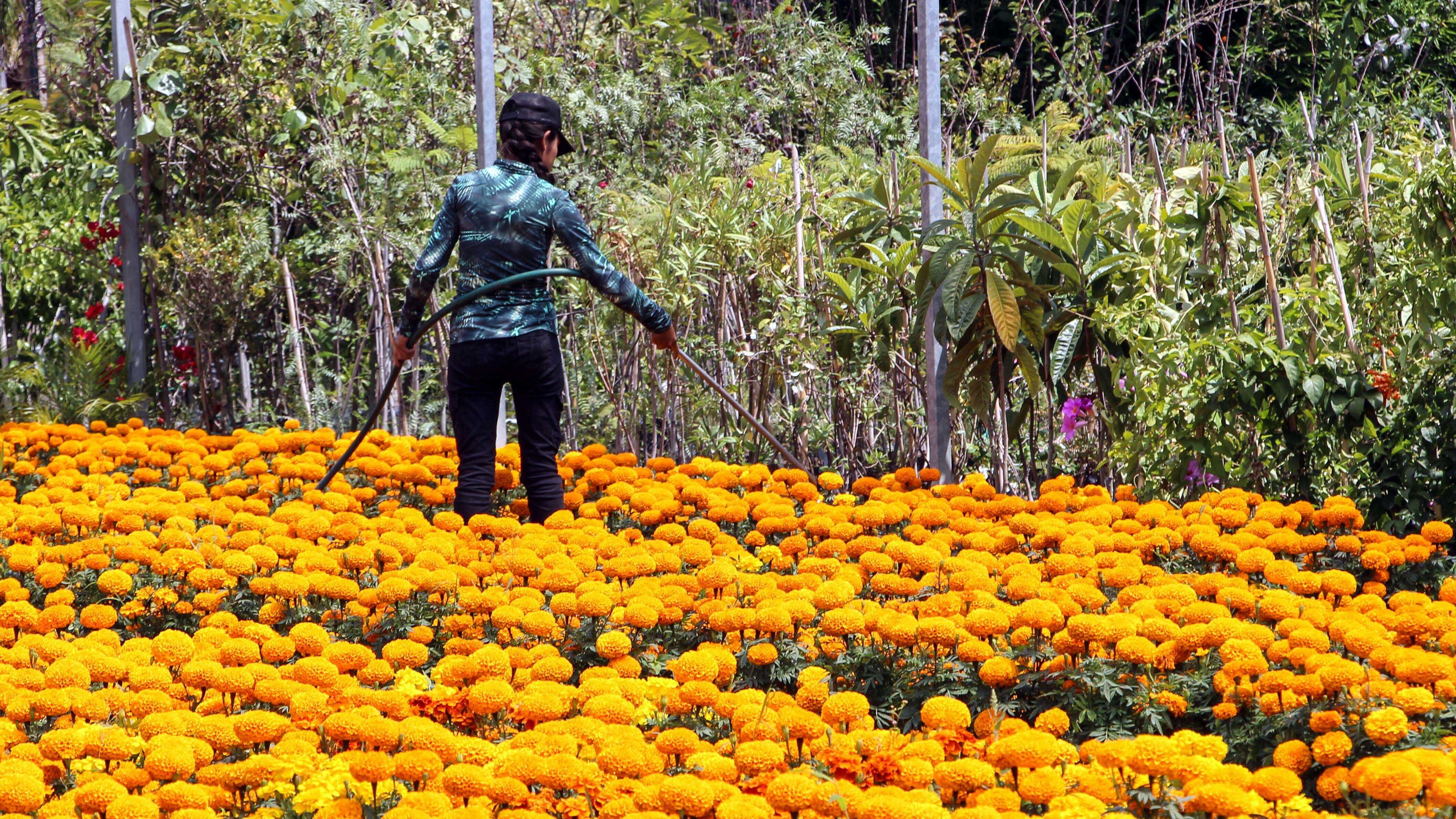FOTO: Eleazar Narciso/Agencia Enfoque
