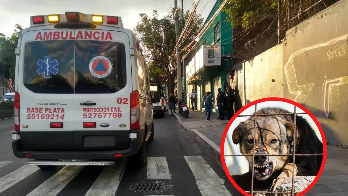 Niño de 6 años muere al ser atacado por su mascota