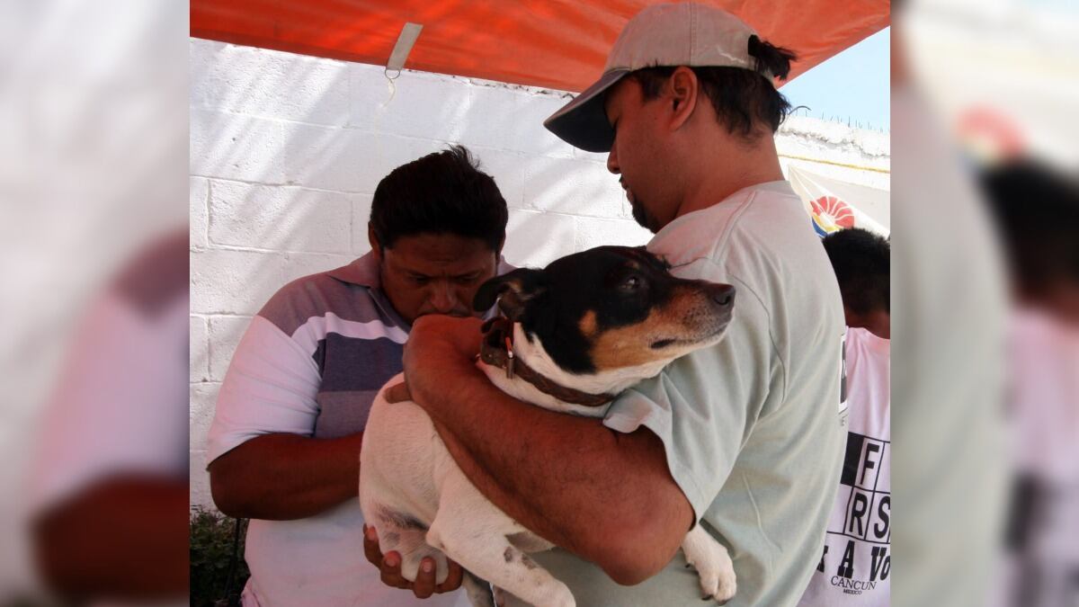 Salud pide a la población abrir las puertas de sus casas para que el personal pueda validar su no hay presencia del virus.