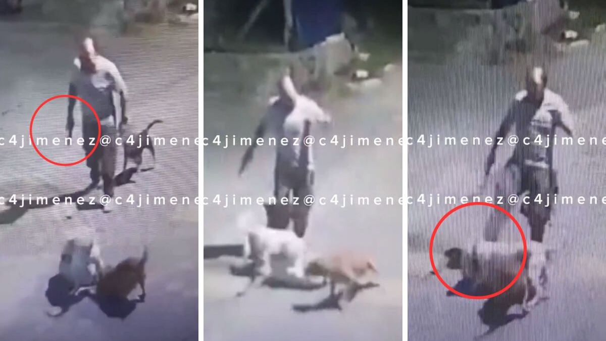 Hombre armado patea perros en Xochilico.
