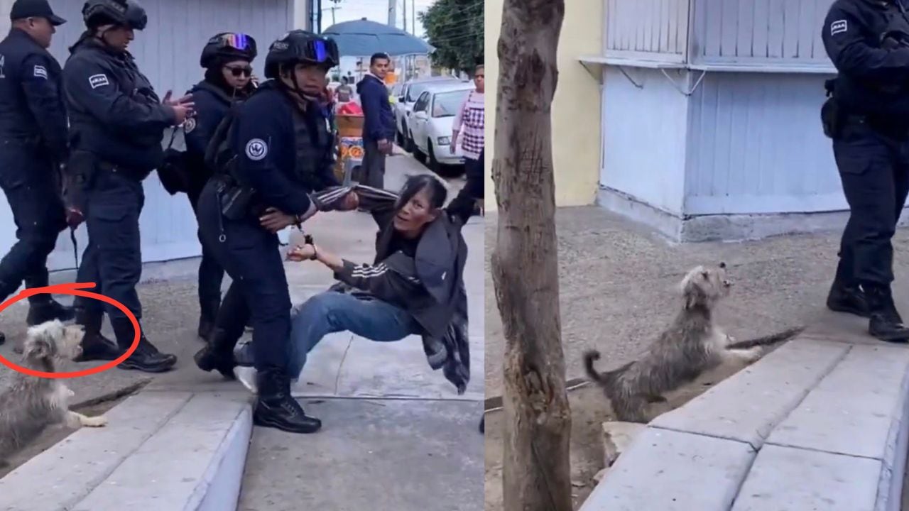 Captan a ocho policías arrastrando a una mujer