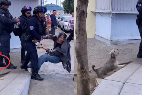 “Ayúdenme, mi perro”: Captan a ocho policías arrastrando a una mujer en situación de calle