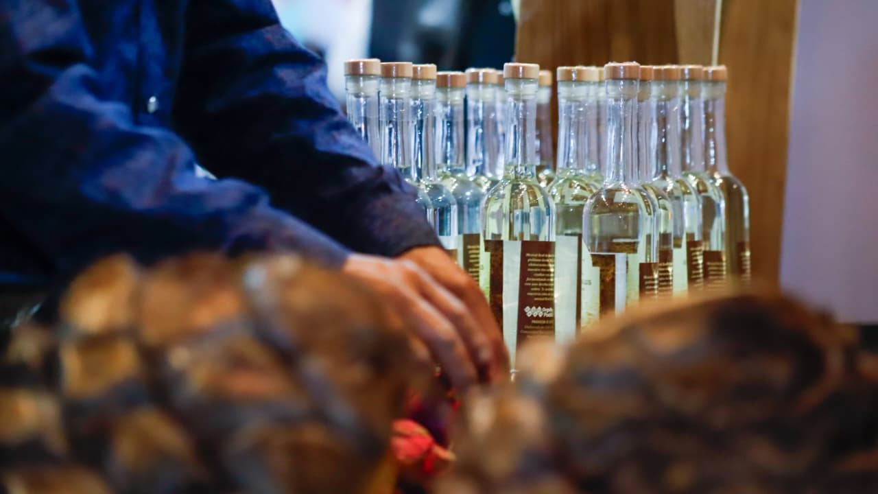 FOTO: Cortesía Gobierno