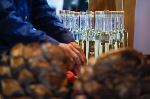 Inversión historia de mil mdp en mezcal suma Puebla 91 medallas