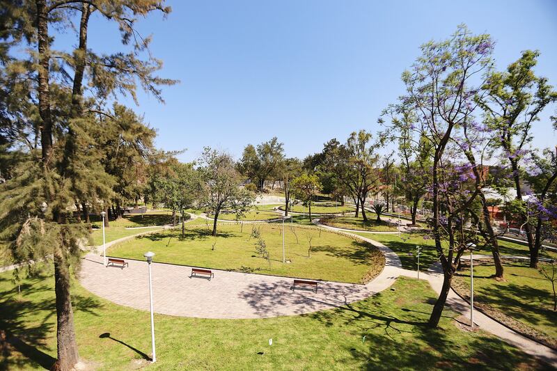 Salvo los grandes parques, muchas otras áreas verdes no cuentan con mantenimiento o recursos.