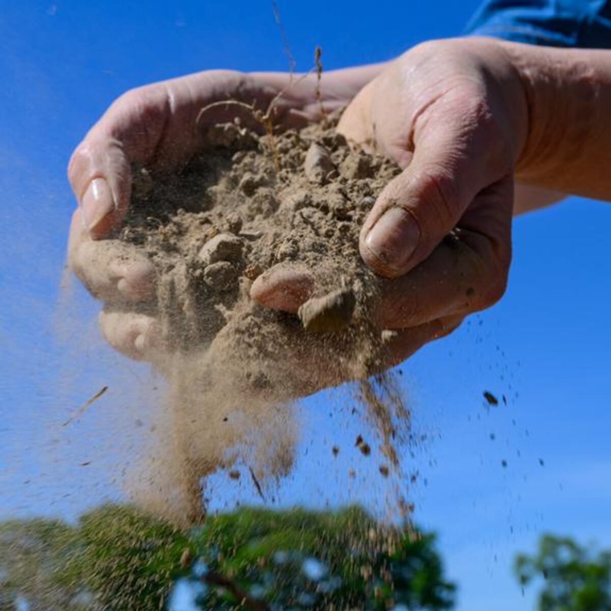 Faltan lluvias: Alemania enfrenta dura sequía – Publimetro México