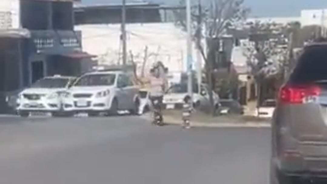 El pequeño se encontraba solo en el cruce de dos avenidas en Apodaca.